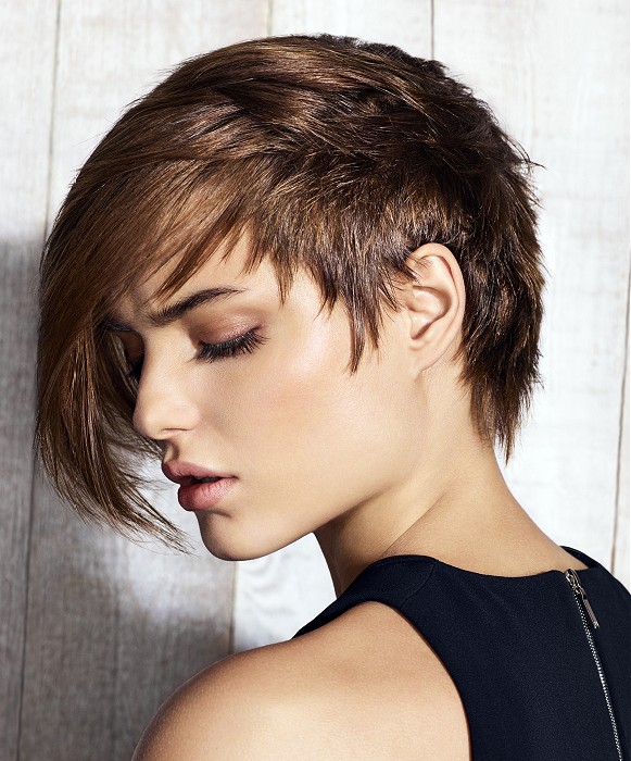 Jean Louis David Short Brown Hairstyles